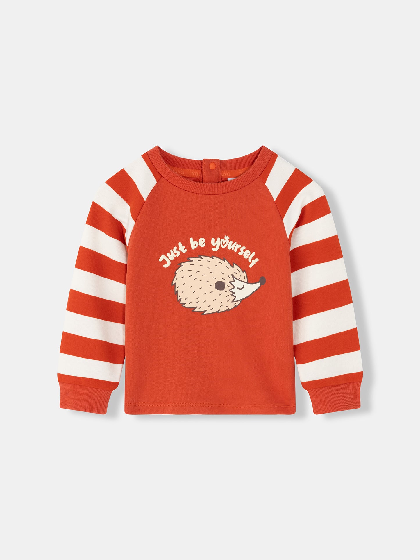 Baby Boys Hedgehog Print Raglan Long Sleeve T-Shirt