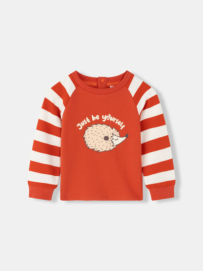 Baby Boys Hedgehog Print Raglan Long Sleeve T-Shirt