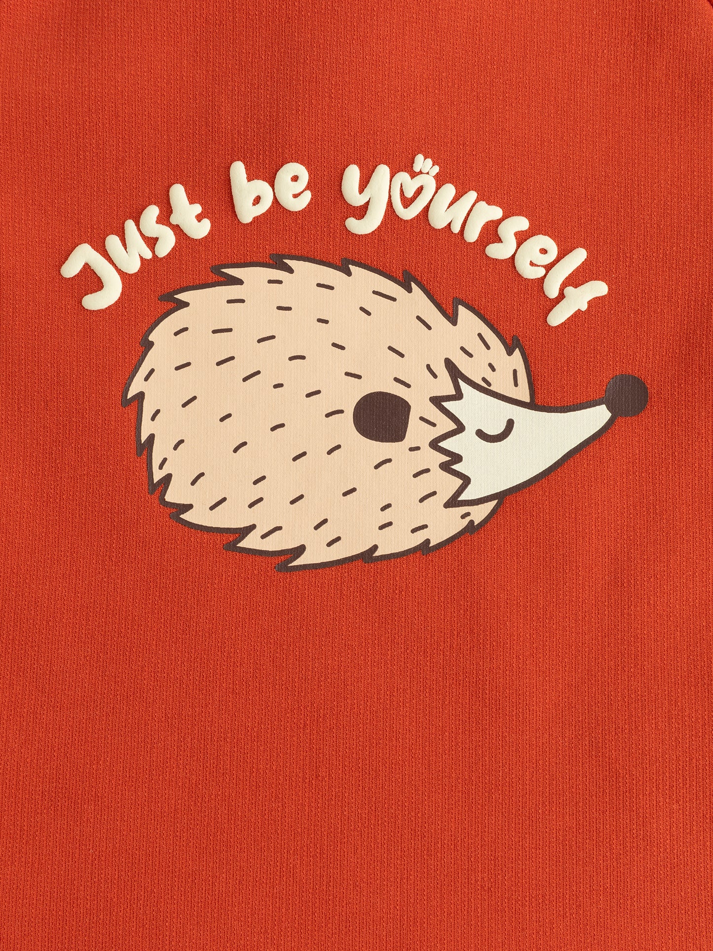 Baby Boys Hedgehog Print Raglan Long Sleeve T-Shirt