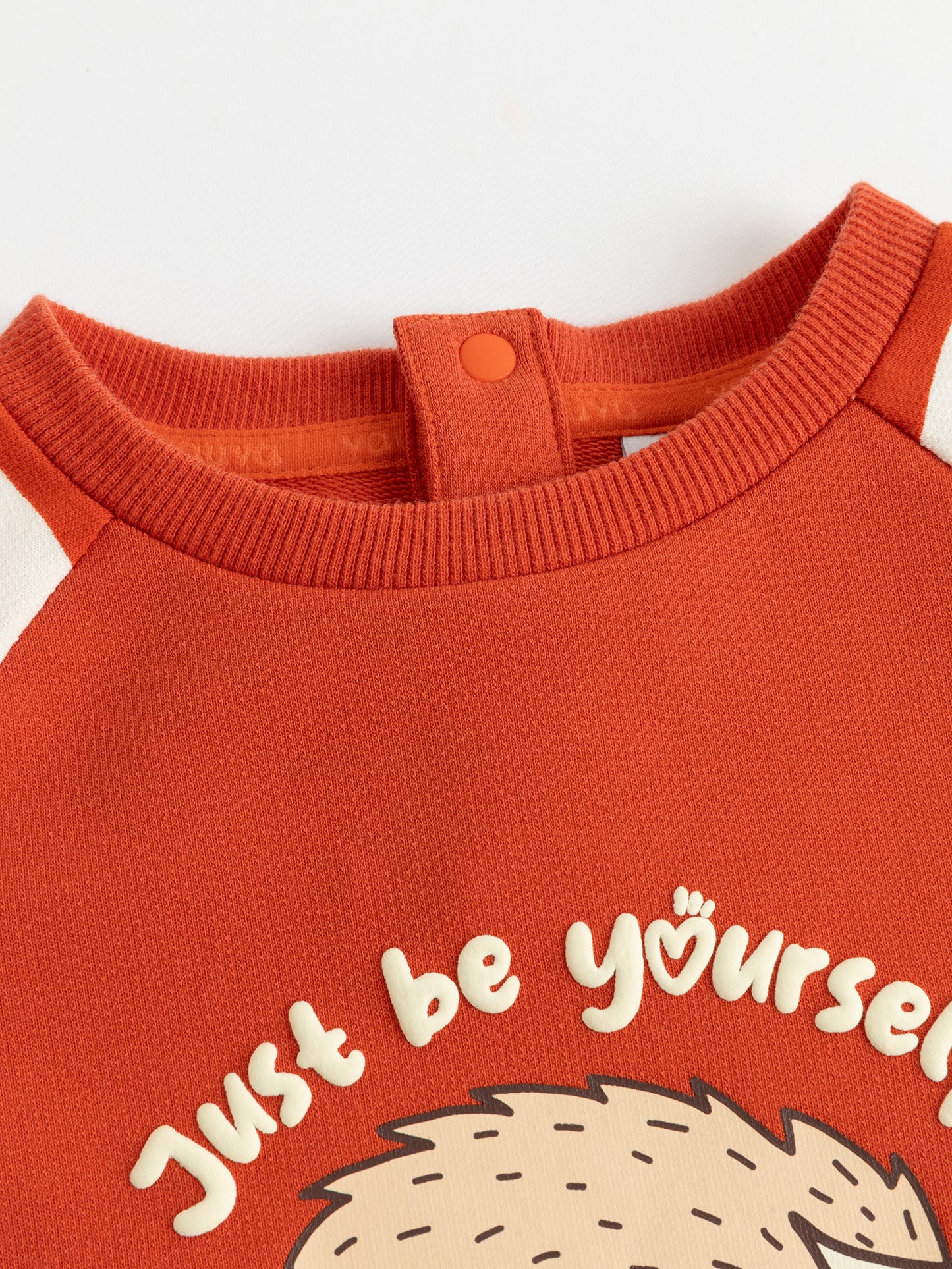 Baby Boys Hedgehog Print Raglan Long Sleeve T-Shirt