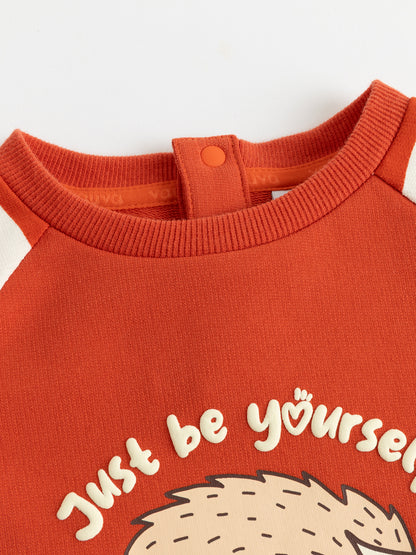 Baby Boys Hedgehog Print Raglan Long Sleeve T-Shirt