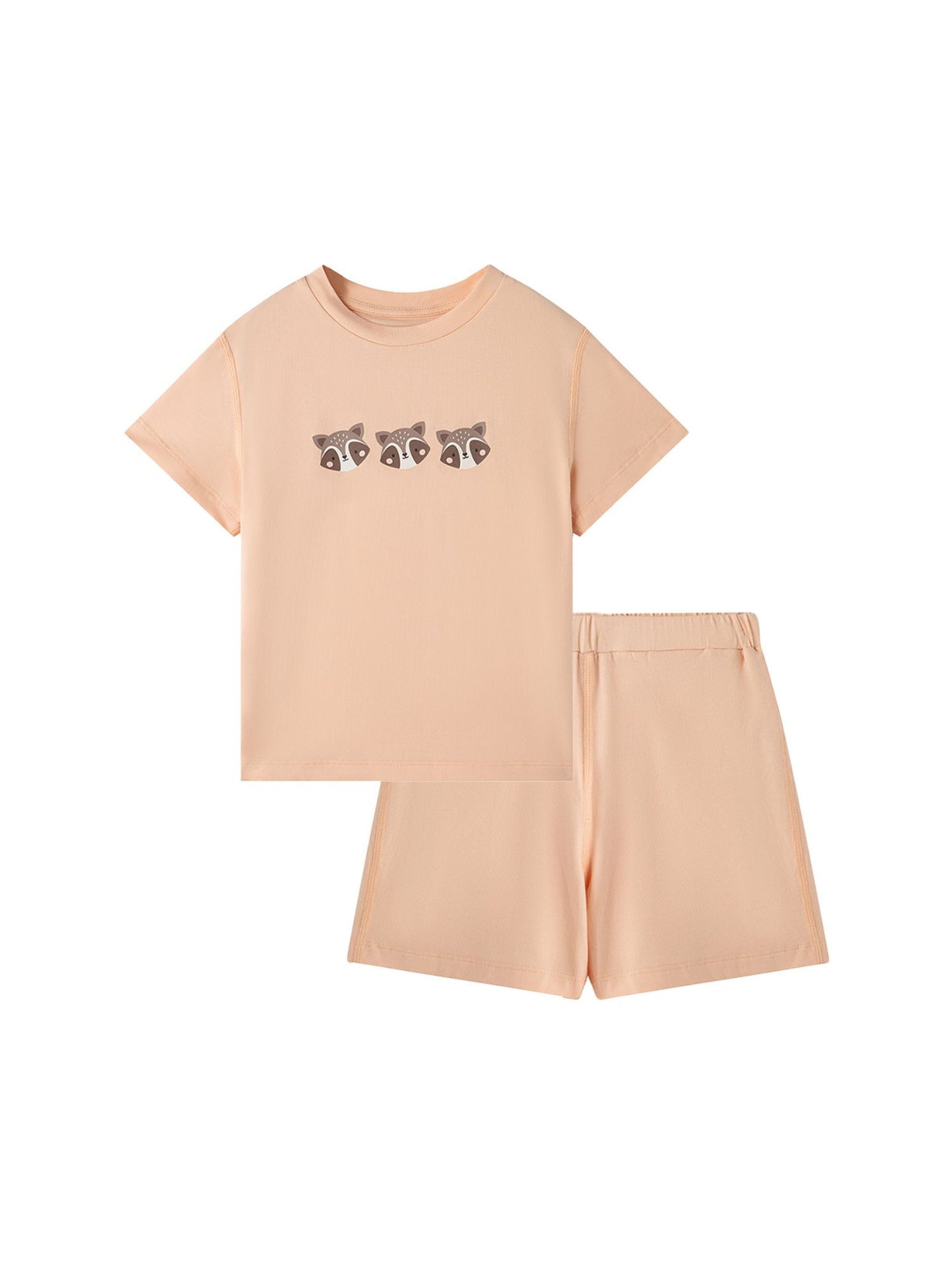 Kids Raccoon Lounge T‑Shirt & Shorts Set