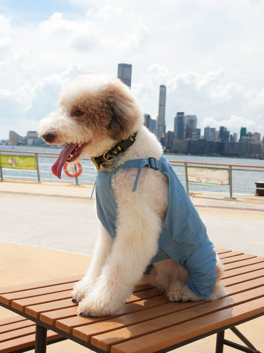 Dog Denim‑Style Cotton Dungarees with Lemon Tea Print