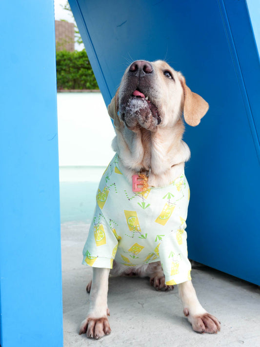 Dog Lemon Drink All‑Over Print Short‑Sleeve Tee