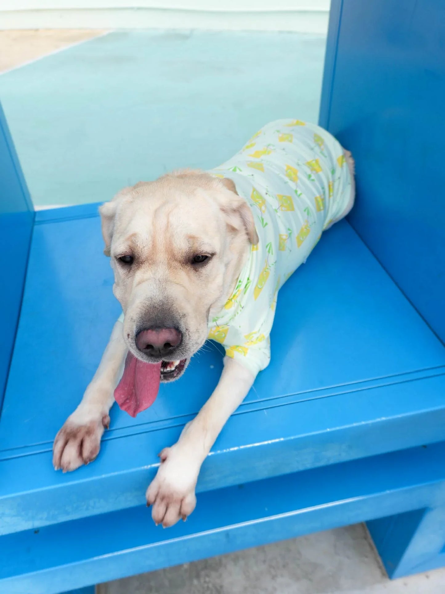 Dog Lemon Drink All‑Over Print Short‑Sleeve Tee