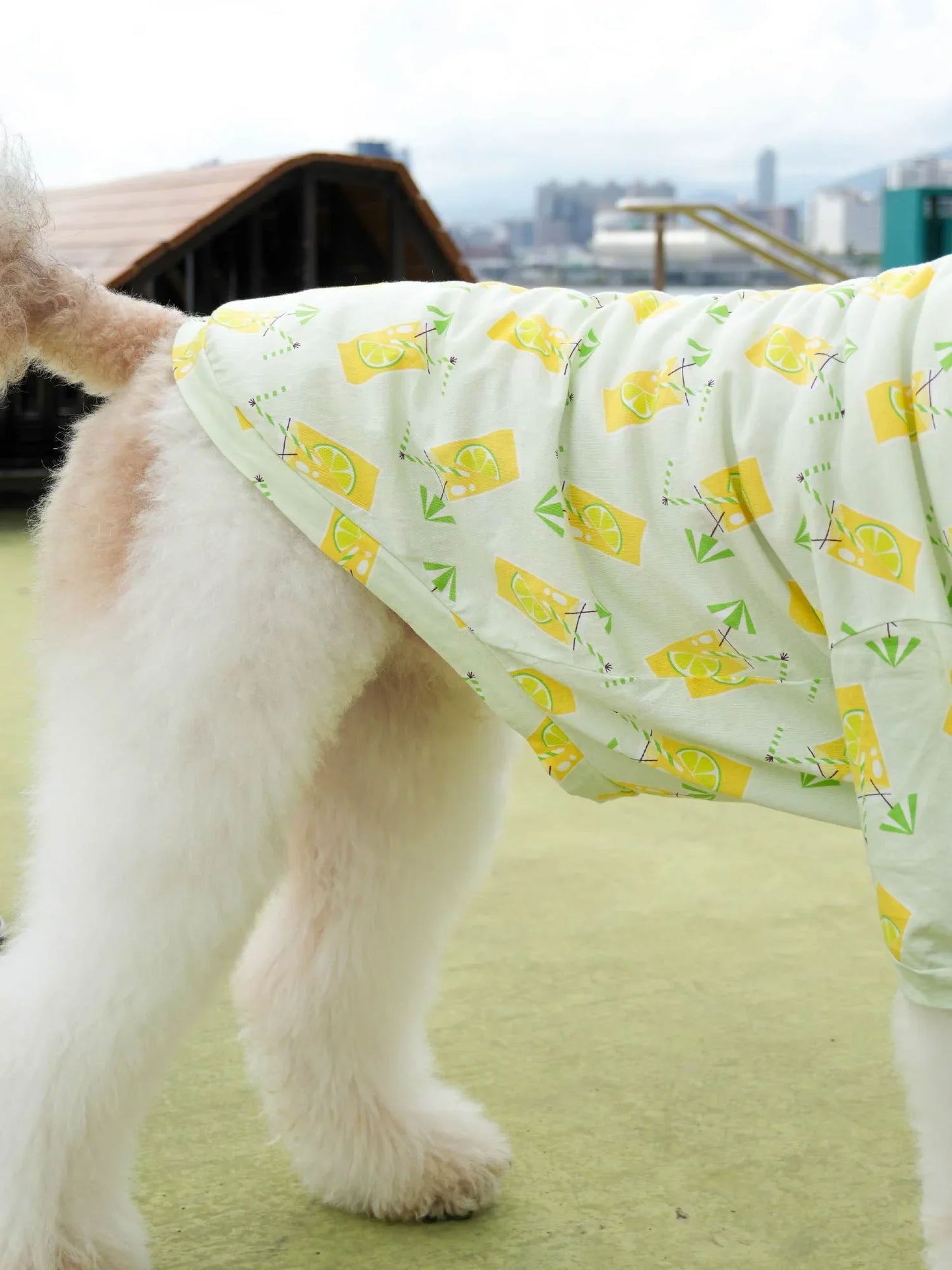 Dog Lemon Drink All‑Over Print Short‑Sleeve Tee