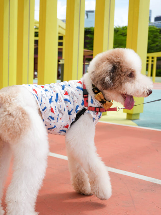 Dog All‑Over Shark Print Mesh Vest