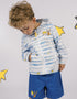 Boys Stripes Hooded Jacket