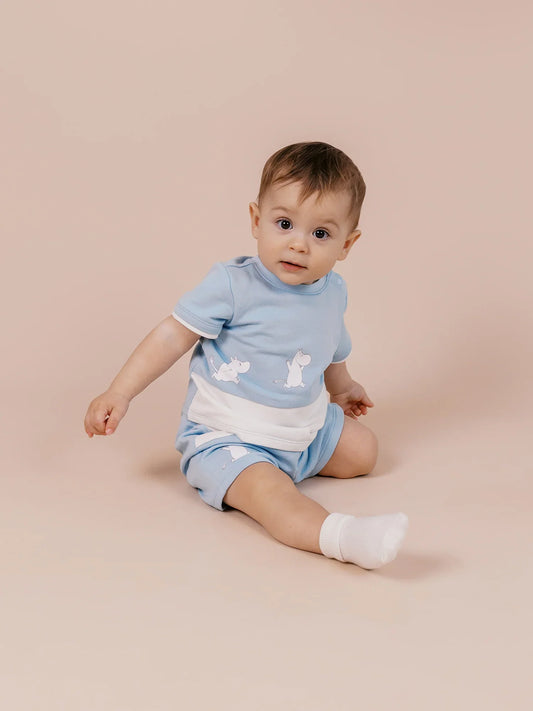 Baby Boy Short Sleeve Colorblock Print Sweatshirt