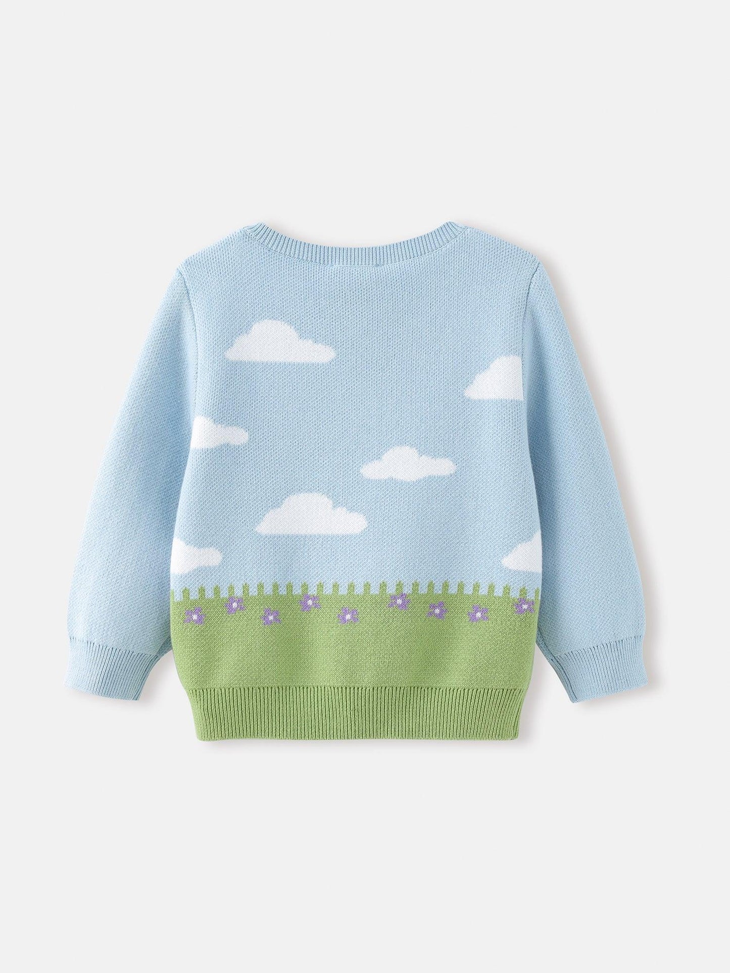 Baby Boys' Scenic Knit Cardigan