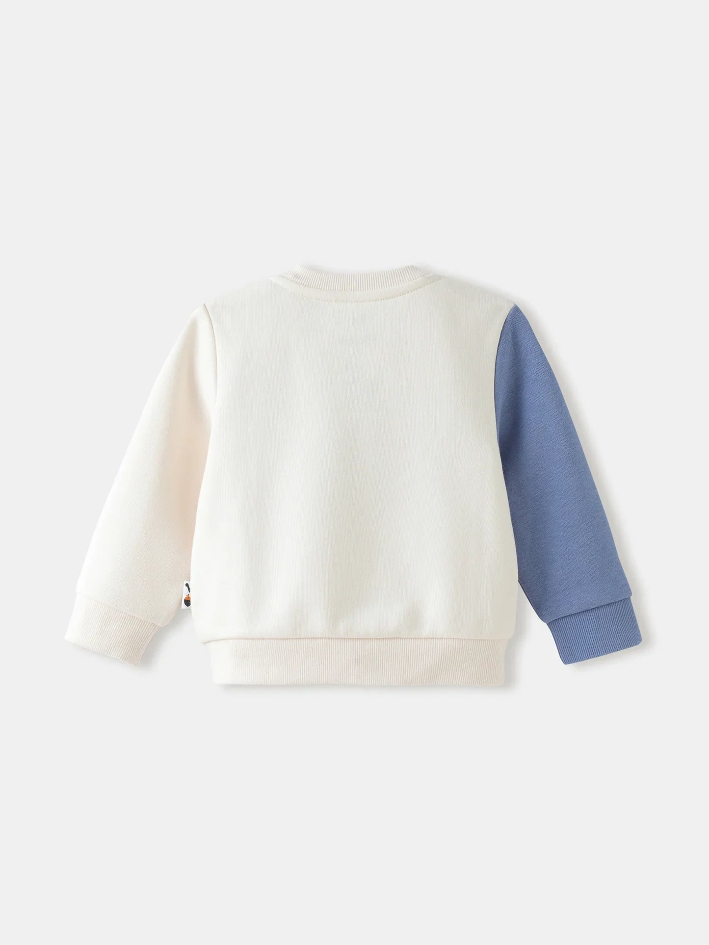 Baby Boys' Embroidered Sweatshirt