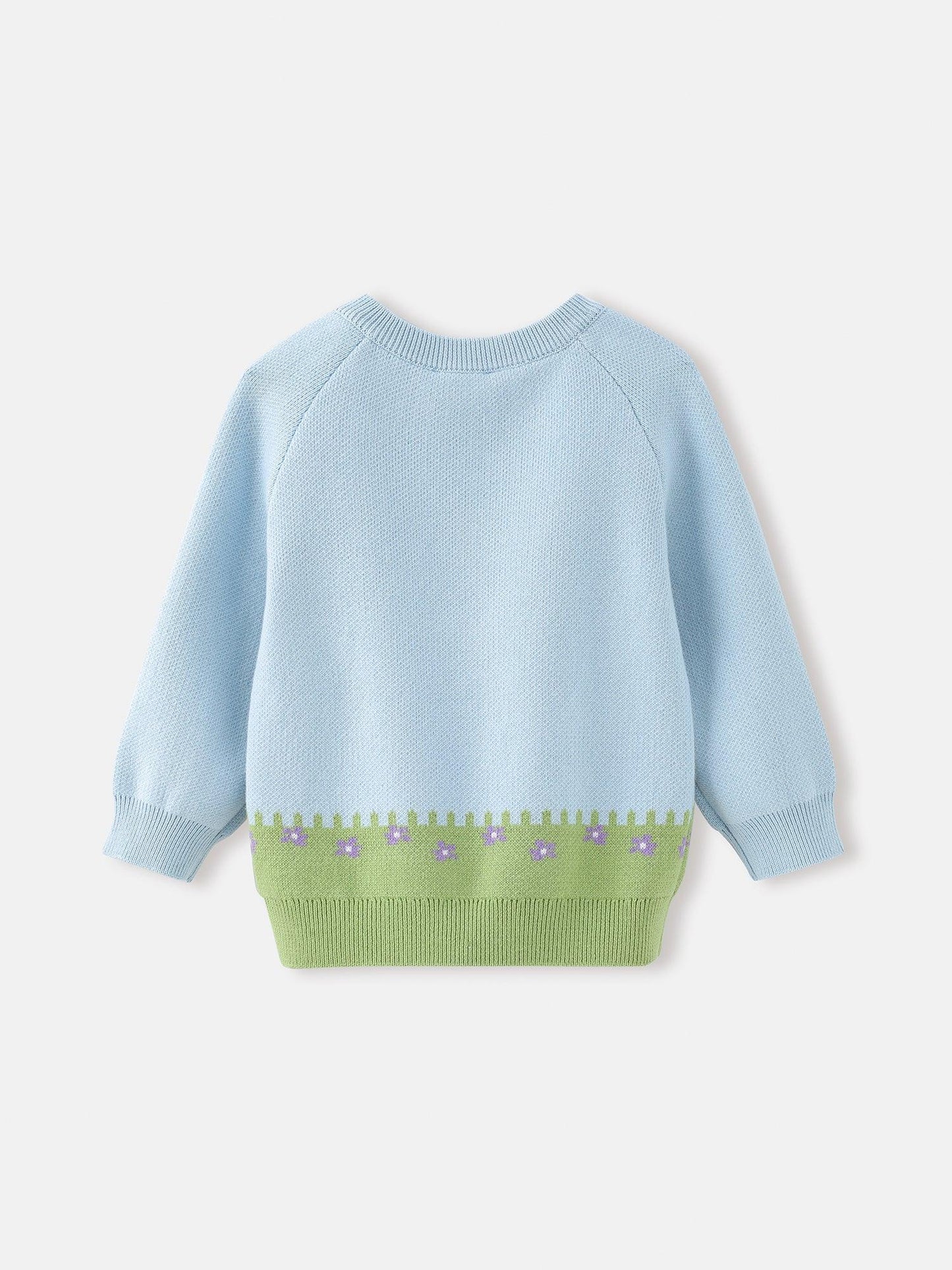 Baby'S Sweater
