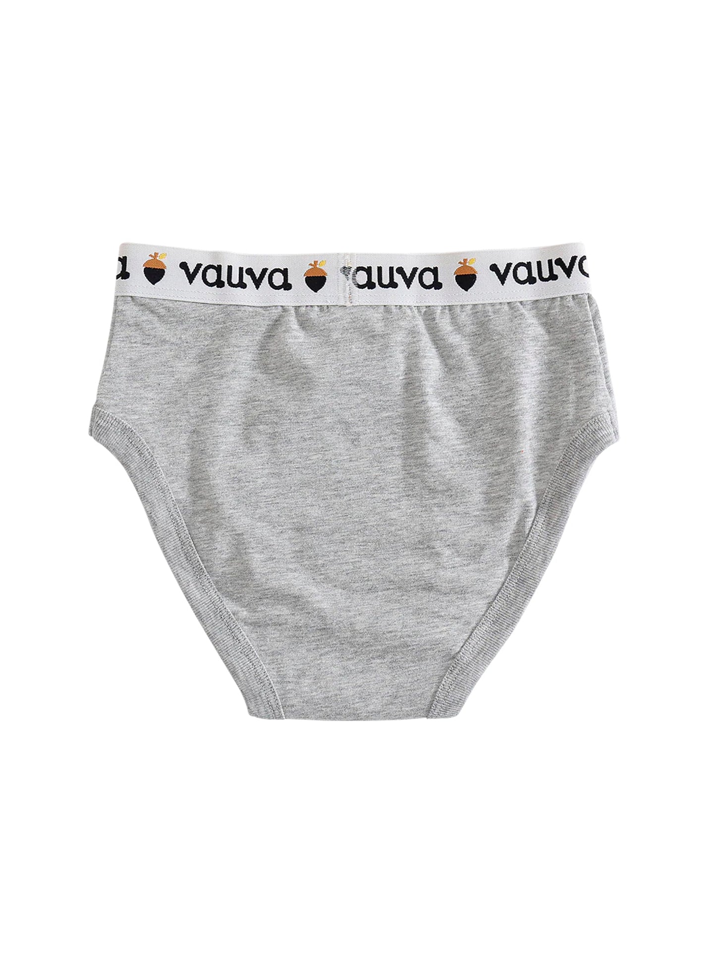 VAUVA Vauva Boys Organic Cotton Underwear (Briefs) - Vauva Blue / Grey Underwear