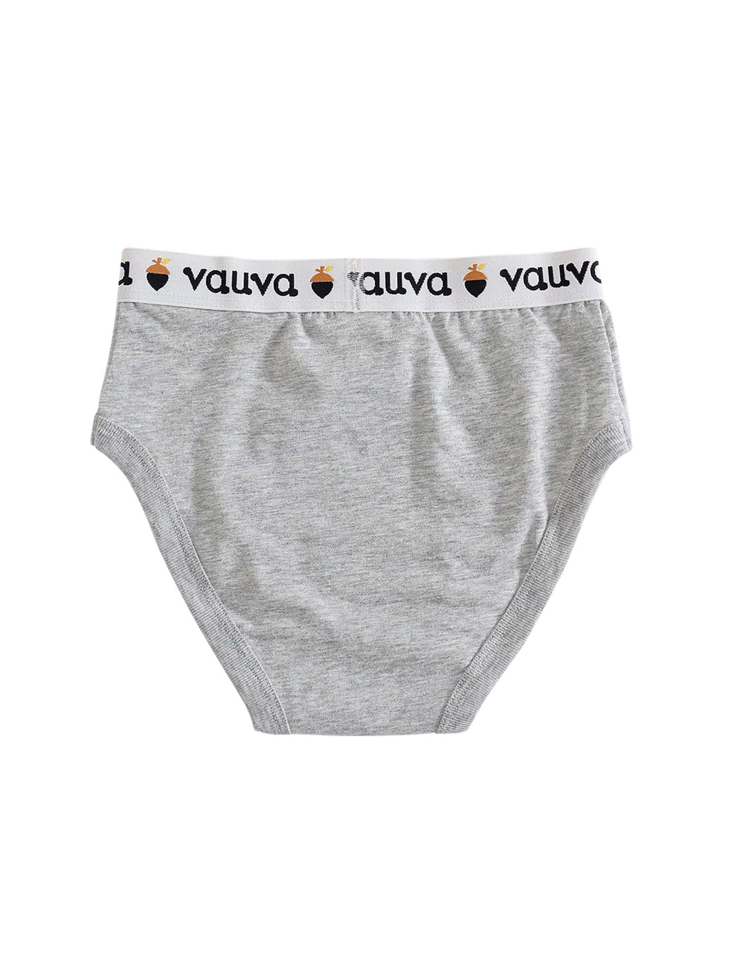 VAUVA Vauva Boys Organic Cotton Underwear (Briefs) - Vauva Blue / Grey Underwear