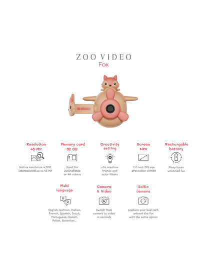 Zoo Video - Fox