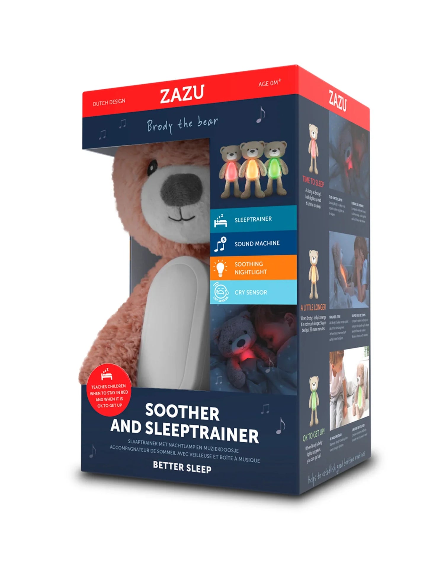 Brody The Bear