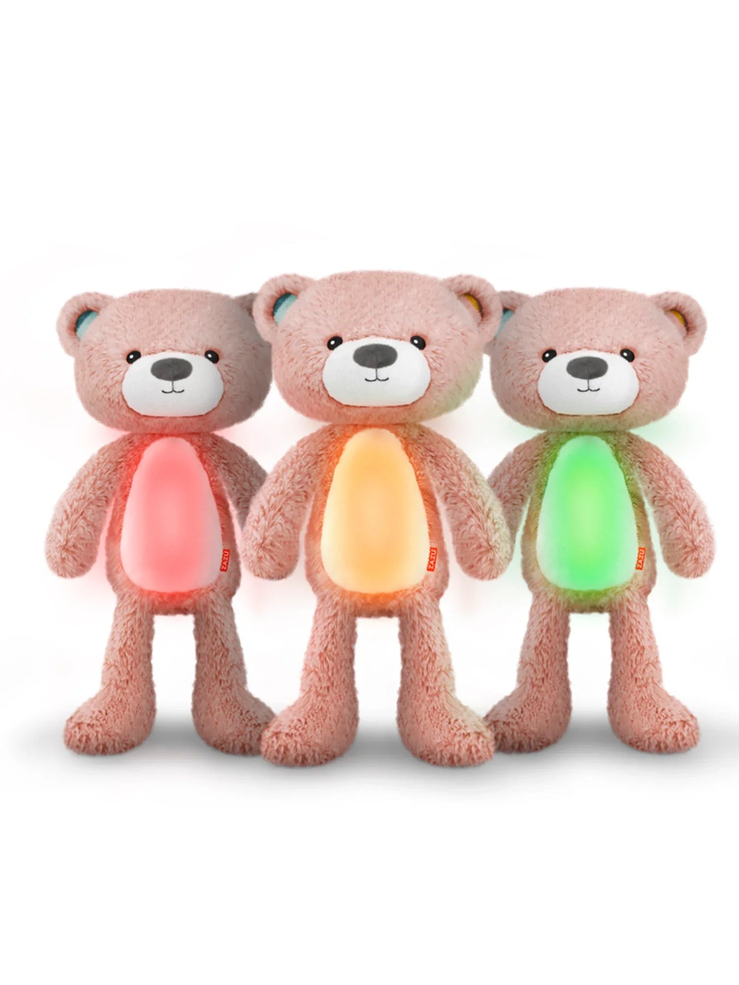 Brody The Bear