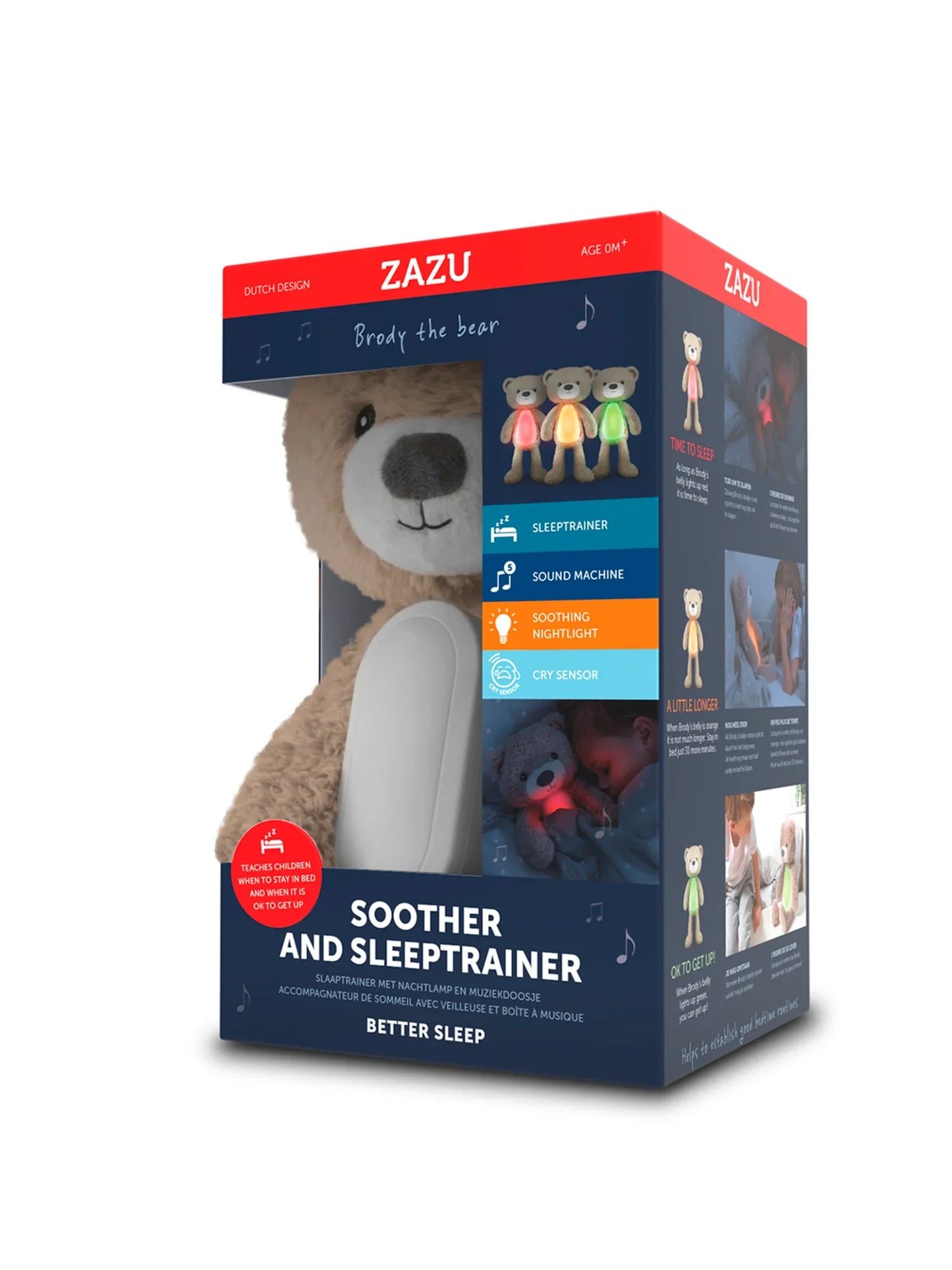 Brody The Bear