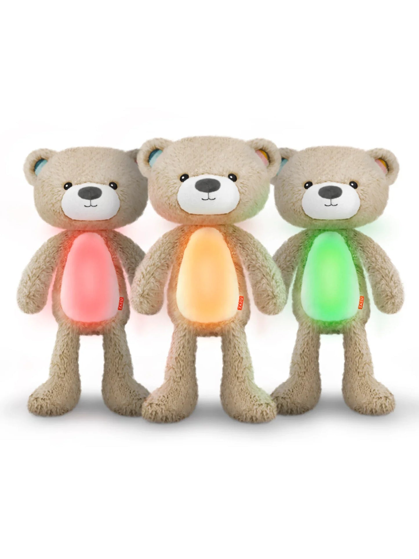 Brody The Bear
