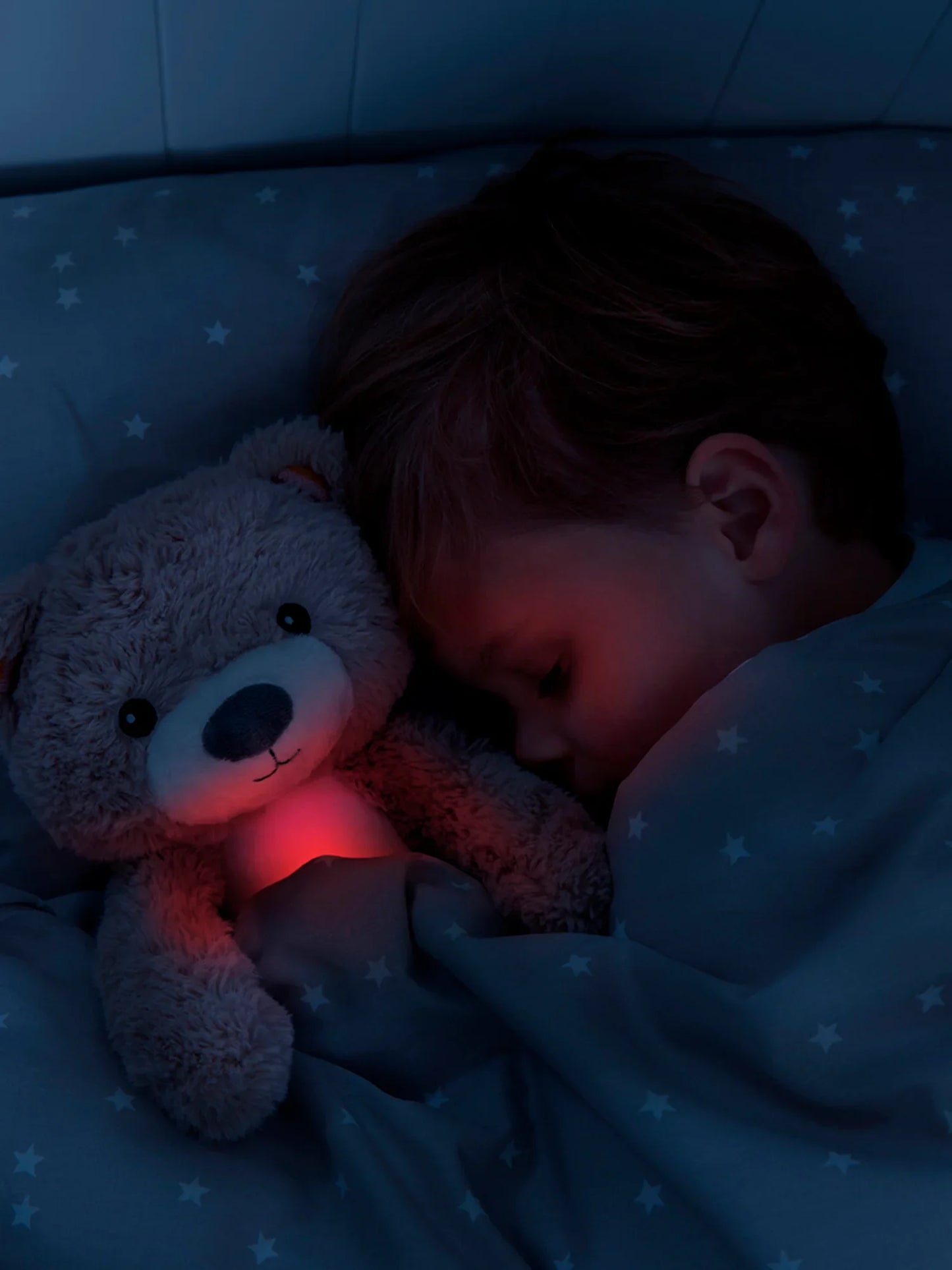 Brody The Bear