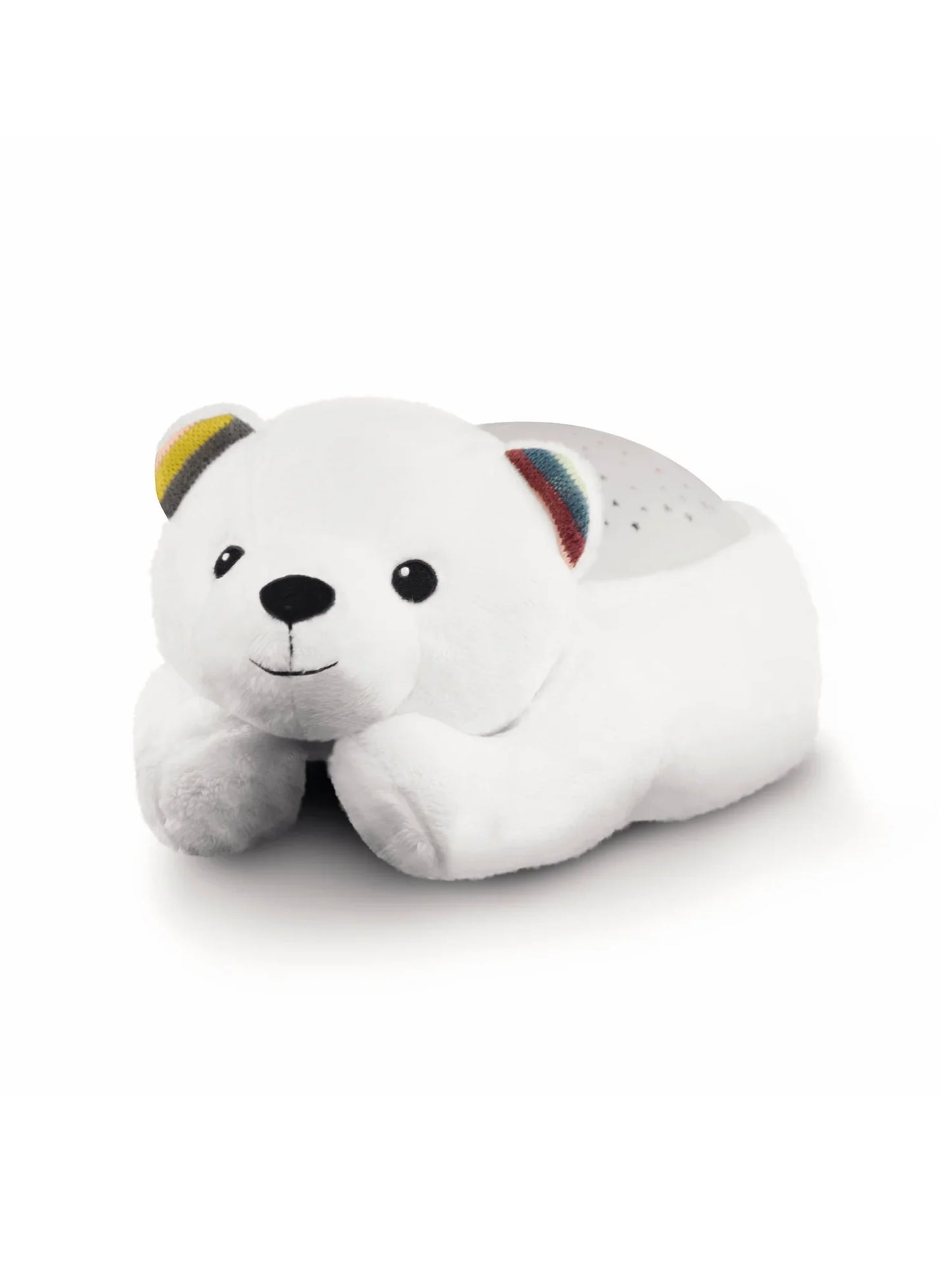 Polly The Poalr Bear