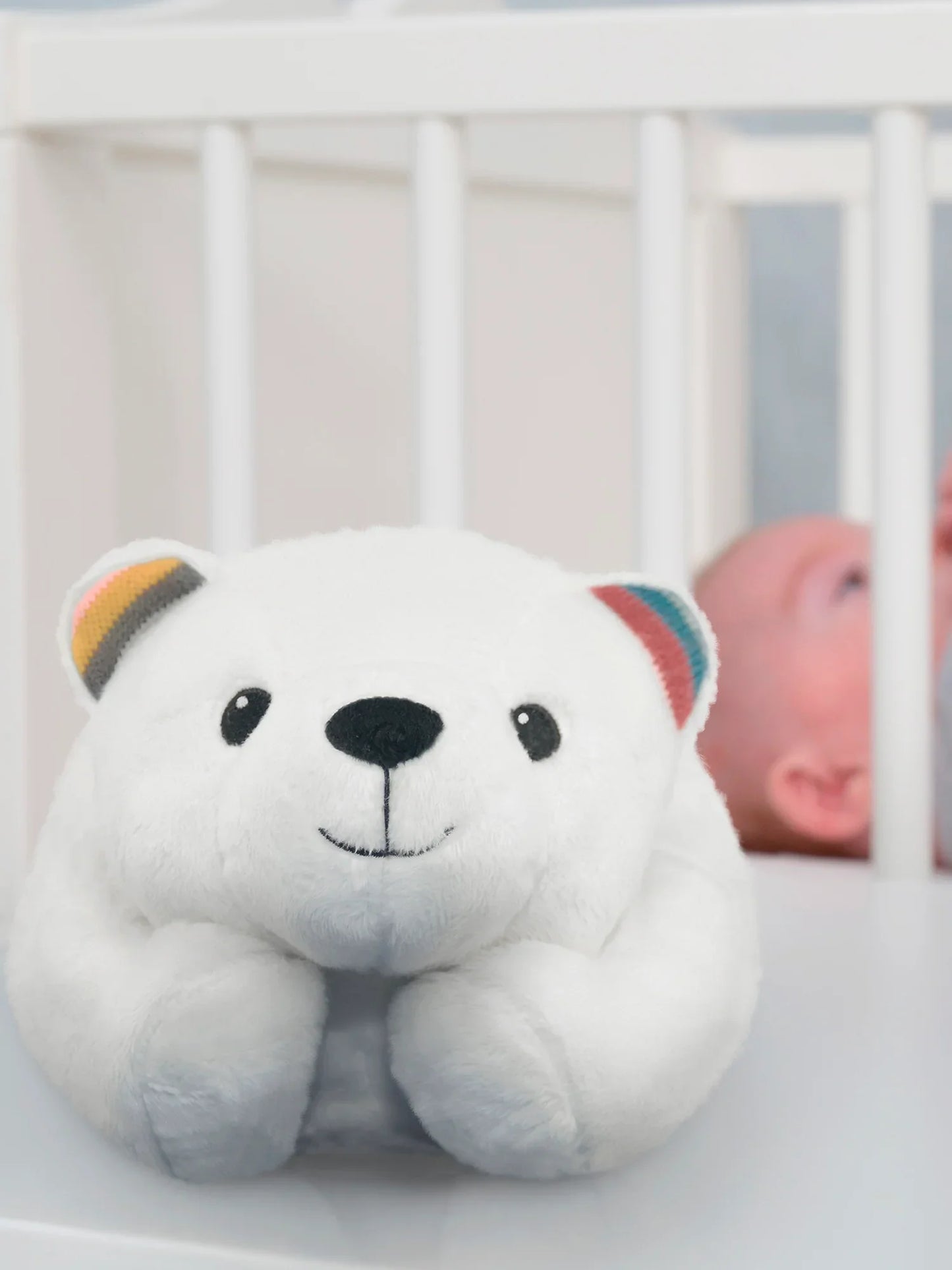 Polly The Poalr Bear