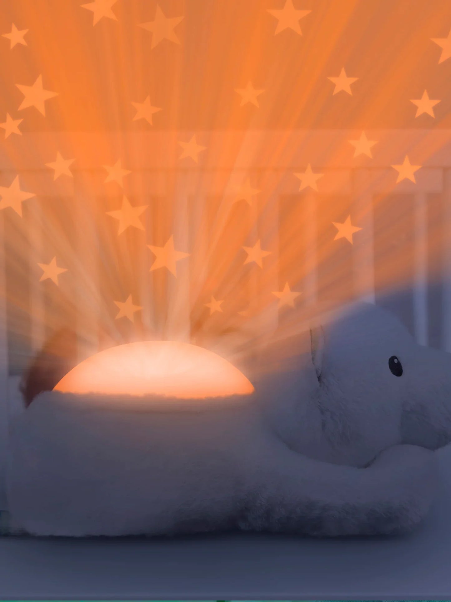 Polly The Poalr Bear