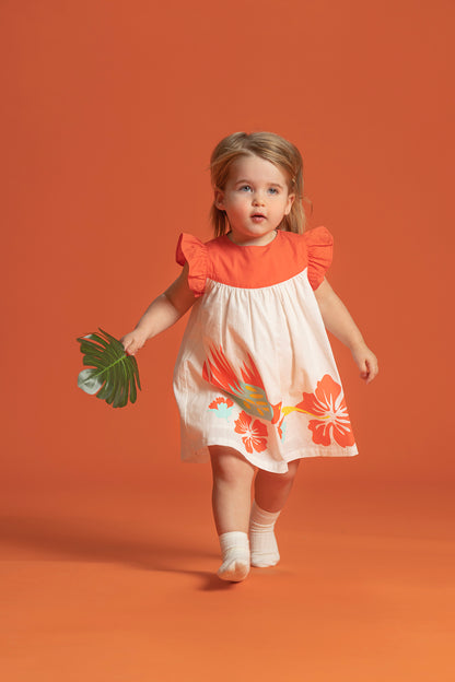 VAUVA Vauva SS23 Safari - Baby Girls Ruffle Sleeves Cotton Dress Dresses