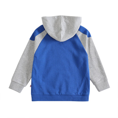 VAUVA Vauva Boys Raccoon Love Nuts Hoodie - Blue Hoodies