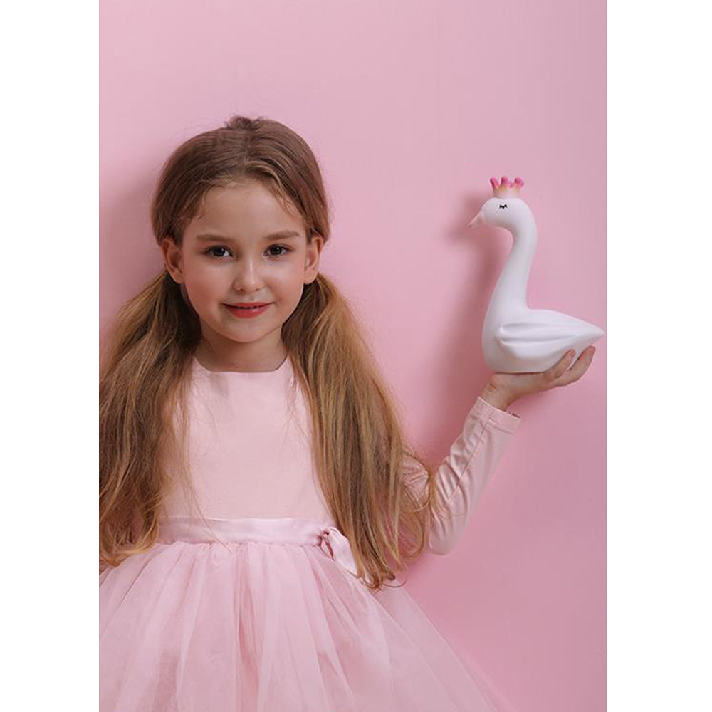 Dhink Dhink Swan Rechargeable Night Light Light Boxes