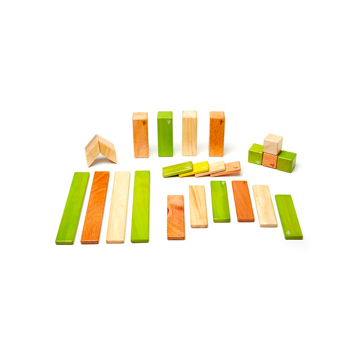 Tegu - 24 件套磁性木塊（橙綠色）