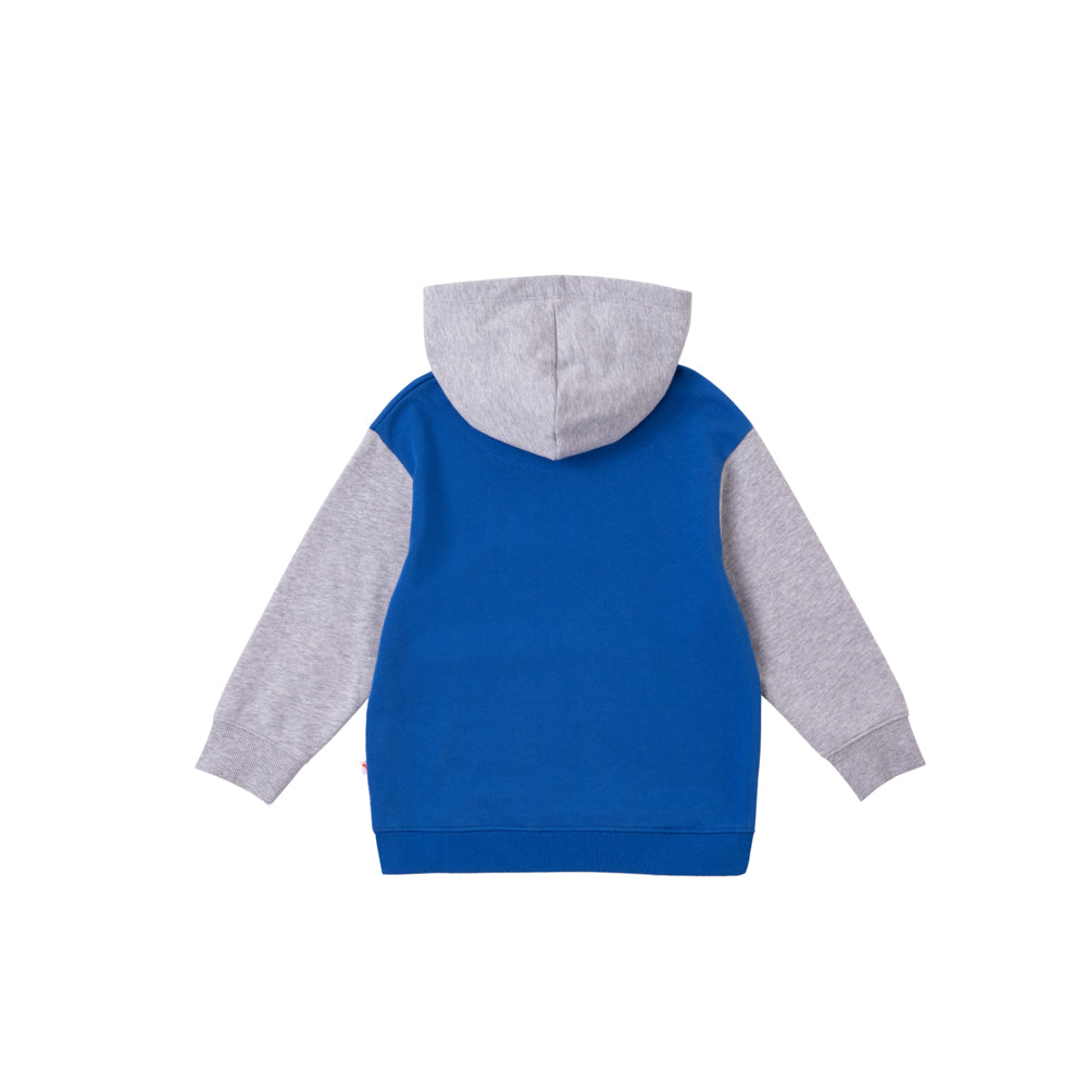 VAUVA Vauva Boys Raccoon Love Eat Hoodie - Blue and Grey Hoodies