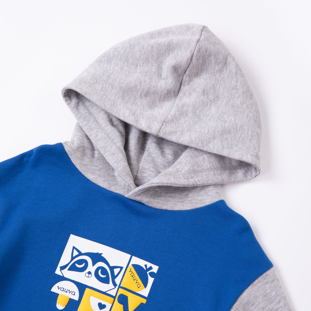 VAUVA Vauva Boys Raccoon Love Eat Hoodie - Blue and Grey Hoodies