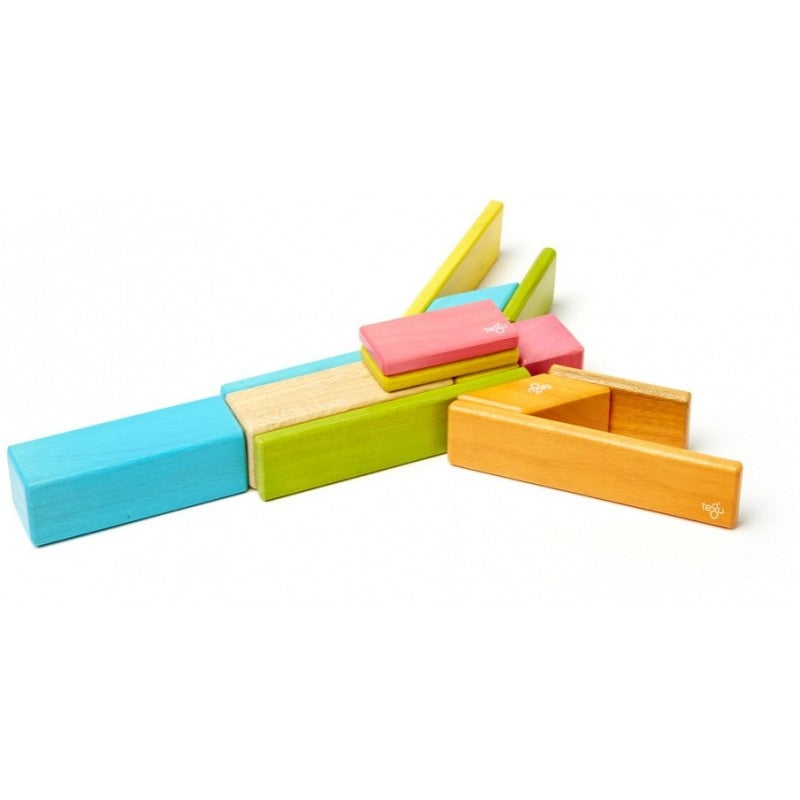 Tegu - 14 Piece SetMagnetic Wooden Blocks(Tints) - My Little Korner