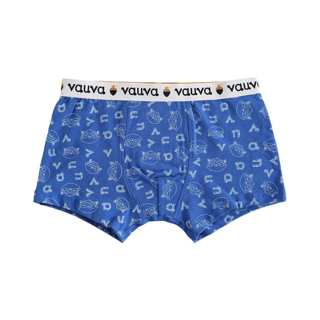 VAUVA Vauva Boys Organic Cotton Underwear (Boxers) - Vauva Blue / Grey Underwear