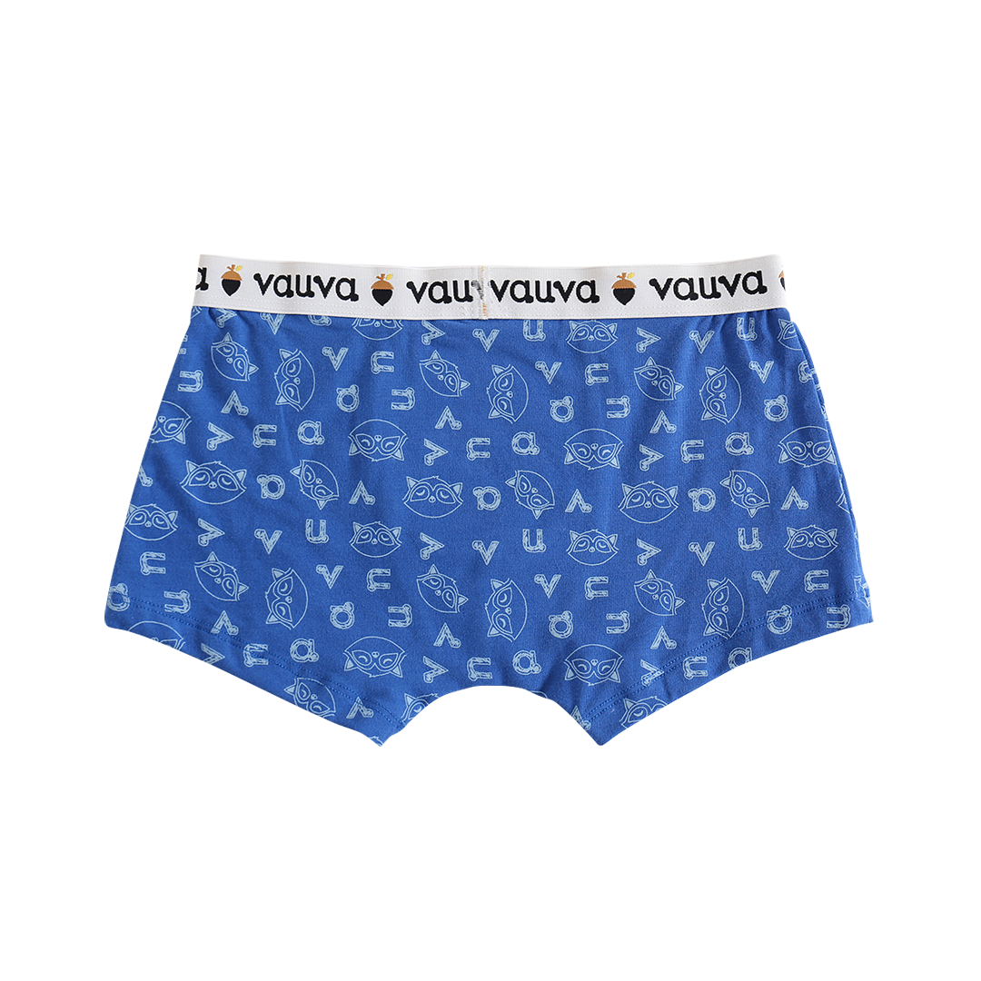 VAUVA Vauva Boys Organic Cotton Underwear (Boxers) - Vauva Blue / Grey Underwear
