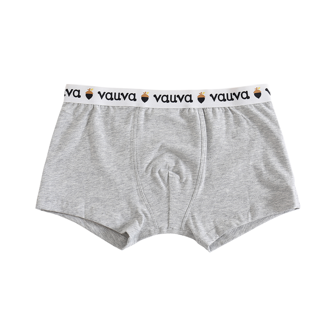 VAUVA Vauva Boys Organic Cotton Underwear (Boxers) - Vauva Blue / Grey Underwear