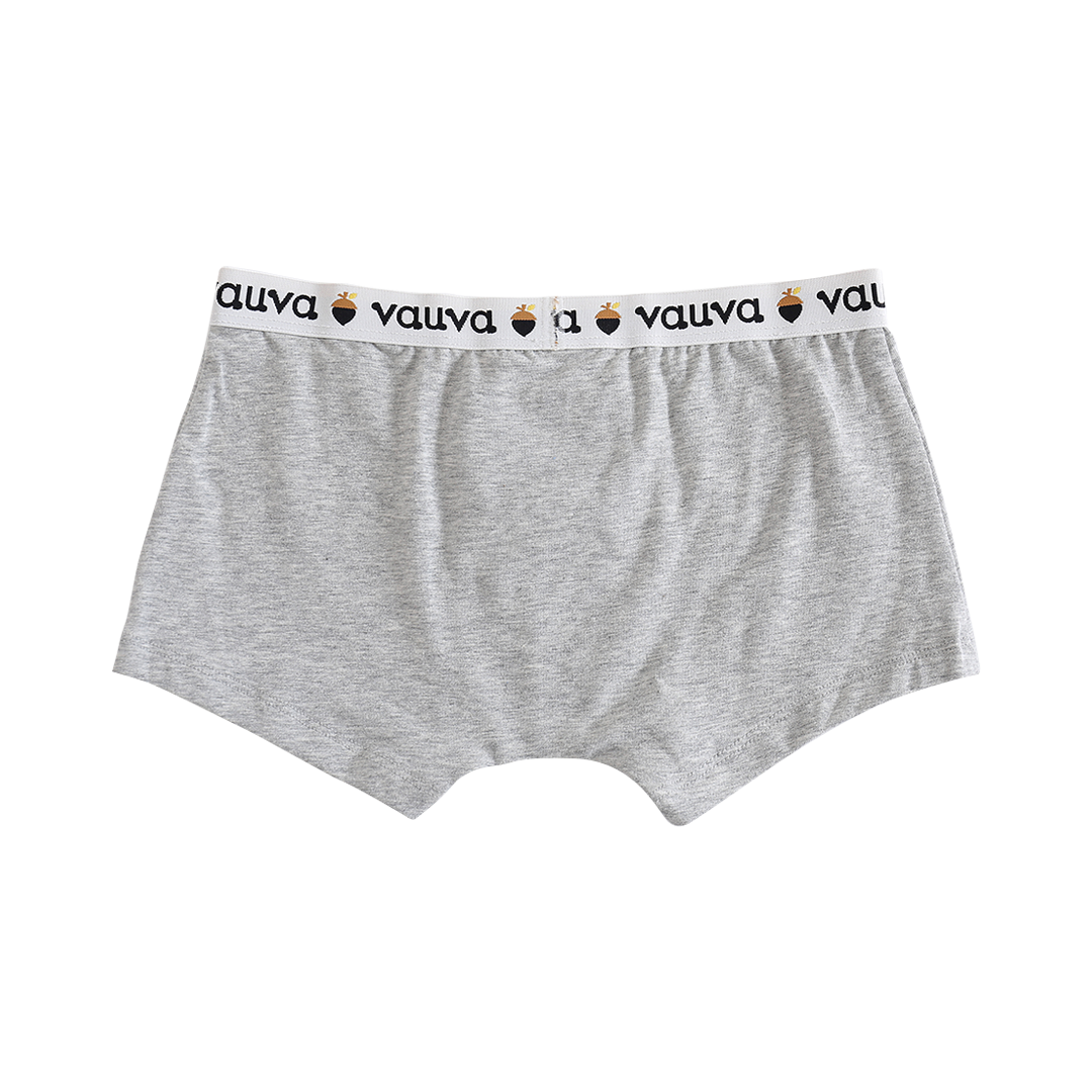 VAUVA Vauva Boys Organic Cotton Underwear (Boxers) - Vauva Blue / Grey Underwear