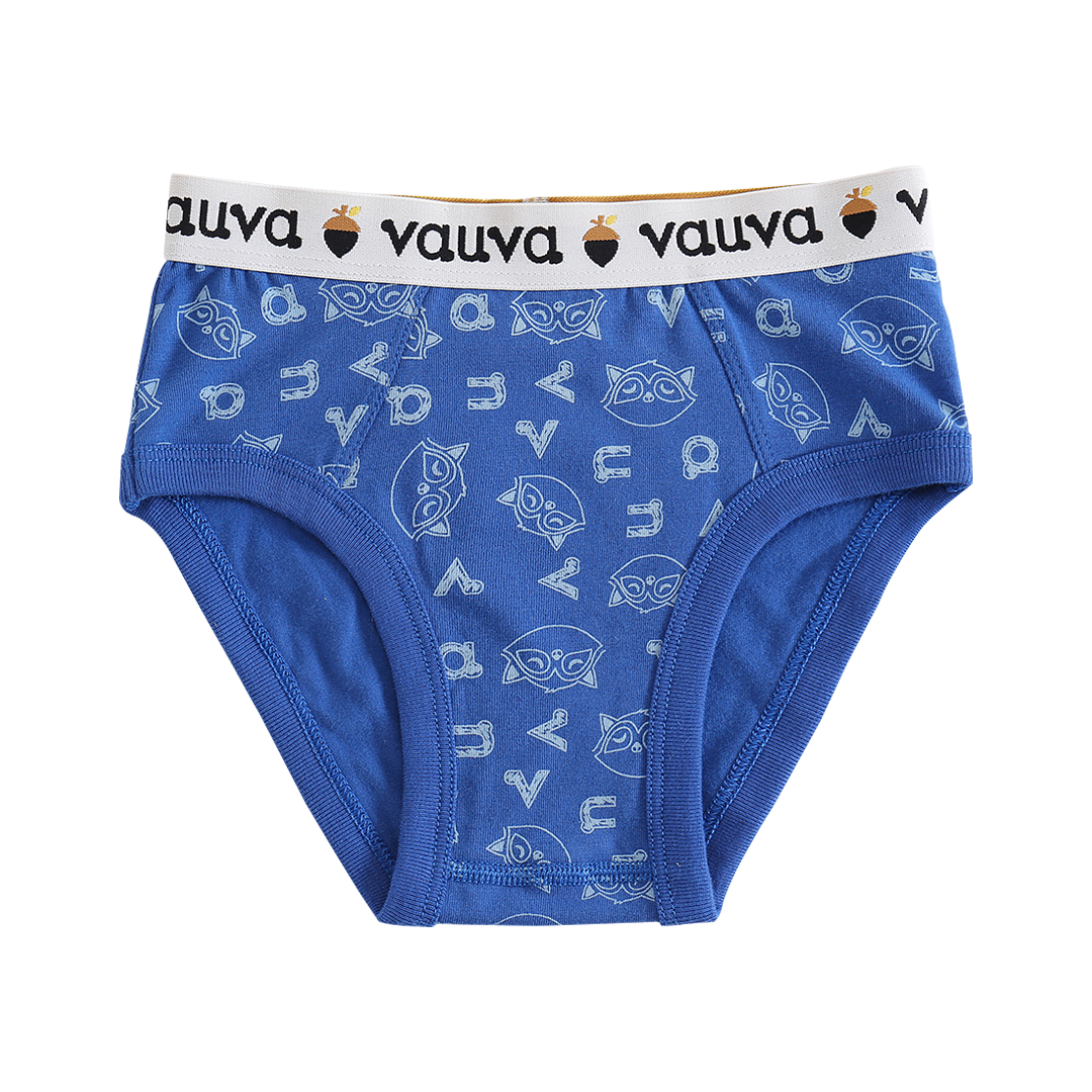 VAUVA Vauva Boys Organic Cotton Underwear (Briefs) - Vauva Blue / Grey Underwear