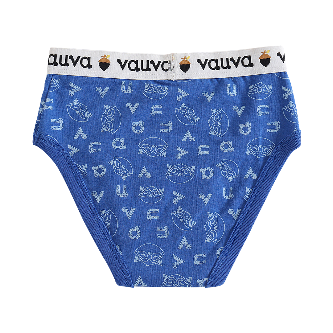 VAUVA Vauva Boys Organic Cotton Underwear (Briefs) - Vauva Blue / Grey Underwear