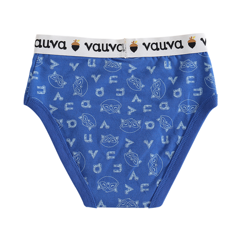VAUVA Vauva Boys Organic Cotton Underwear (Briefs) - Vauva Blue / Grey Underwear