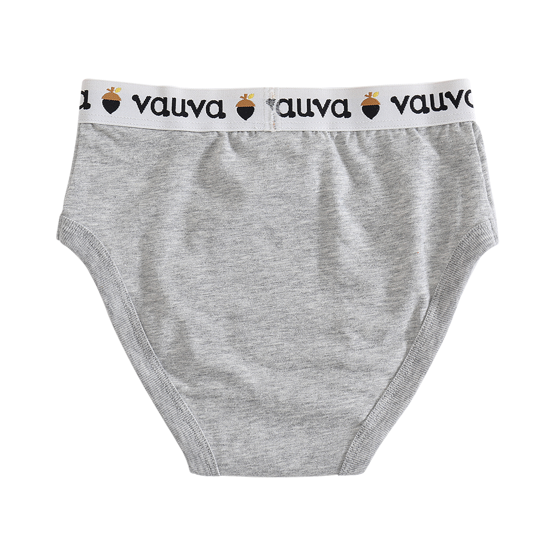 VAUVA Vauva Boys Organic Cotton Underwear (Briefs) - Vauva Blue / Grey Underwear