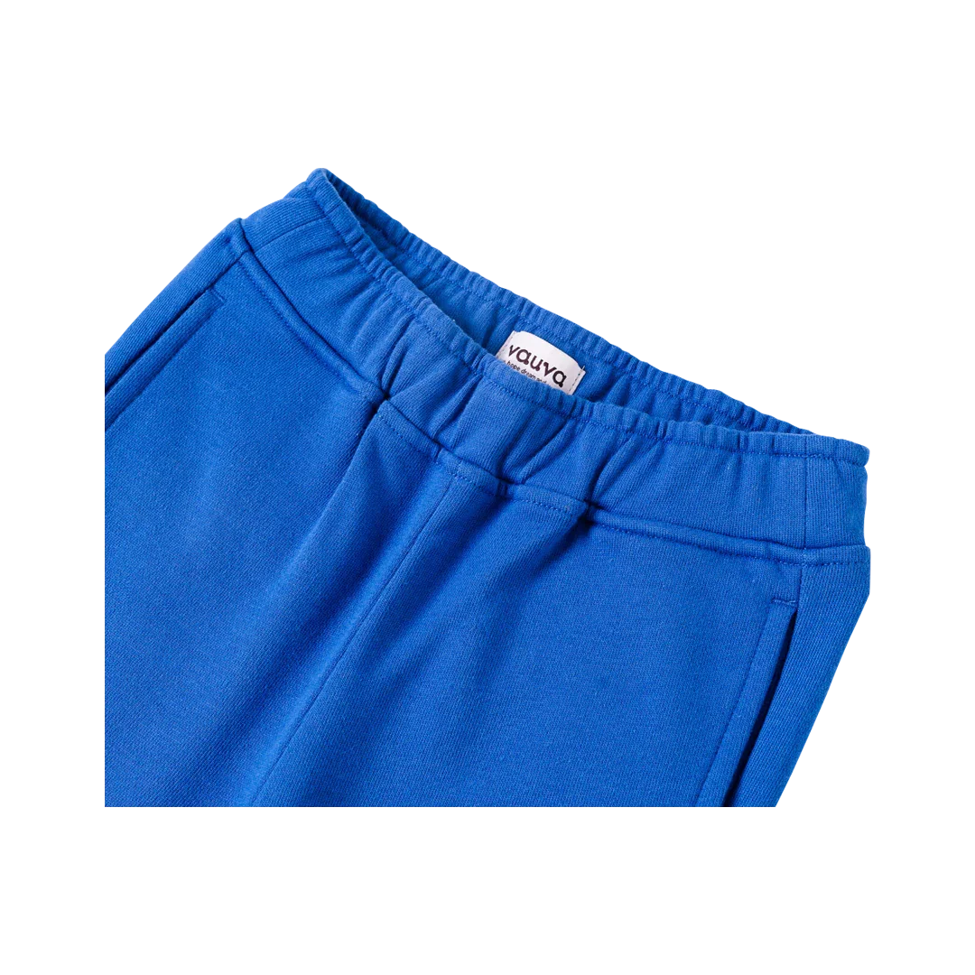 VAUVA Vauva Boys Raccoon Love Dream Hope Explore Causal Long Pants - Blue Bottoms