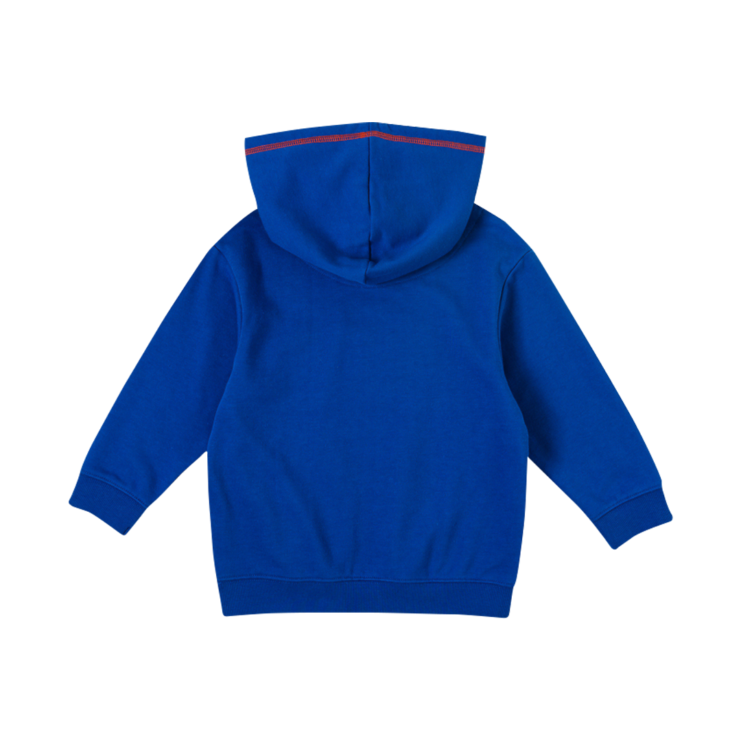 VAUVA Vauva Boys Raccoon Love Dream Hope Explore Hoodie - Blue Hoodies