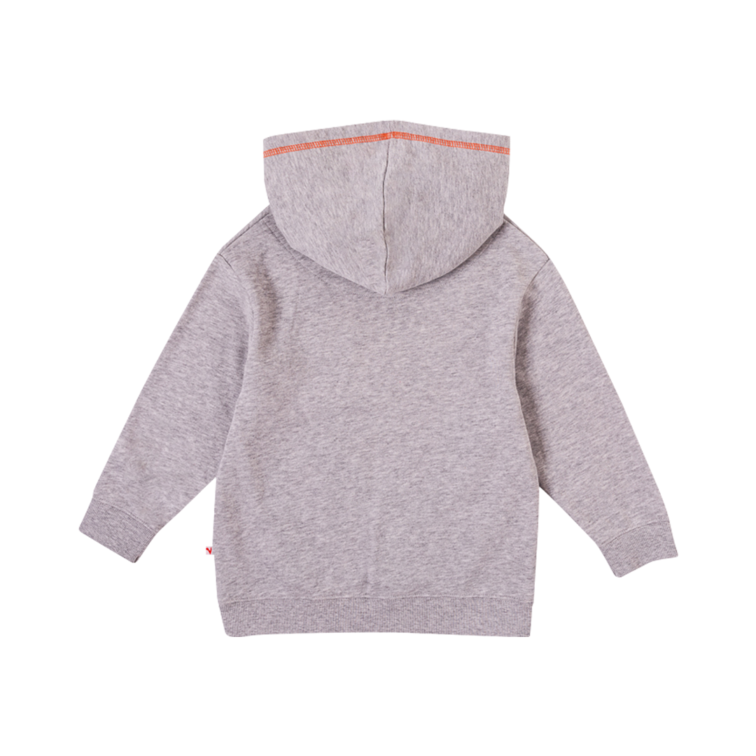 VAUVA Vauva Boys Raccoon Love Dream Hope Explore Hoodie - Grey Hoodies