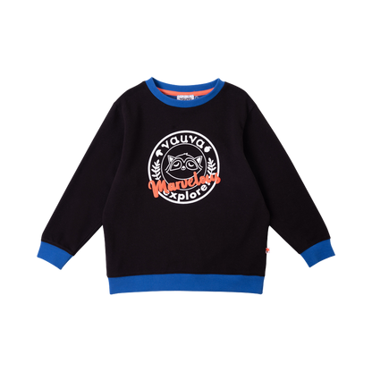 VAUVA Vauva Boys Raccoon Marvelous Sweatshirt - Black Sweatshirts