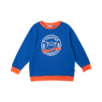 Vauva Boys Raccoon Marvelous Sweatshirt - Blue