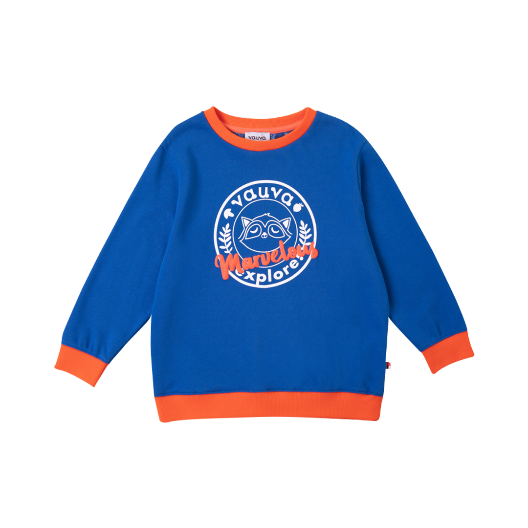 VAUVA Vauva Boys Raccoon Marvelous Sweatshirt - Blue Sweatshirts