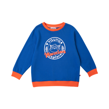 VAUVA Vauva Boys Raccoon Marvelous Sweatshirt - Blue Sweatshirts