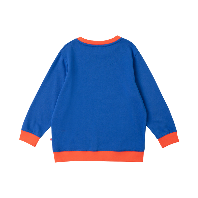 Vauva Boys Raccoon Marvelous Sweatshirt - Blue - My Little Korner